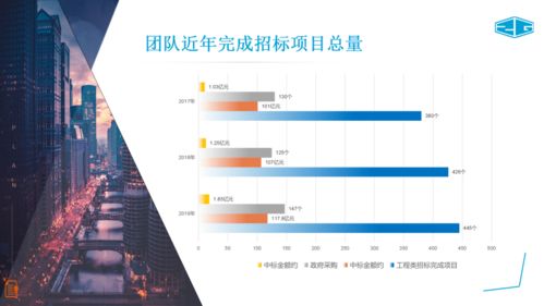 中冠咨詢 全面招標代理、政府采購與信息技術咨詢服務介紹